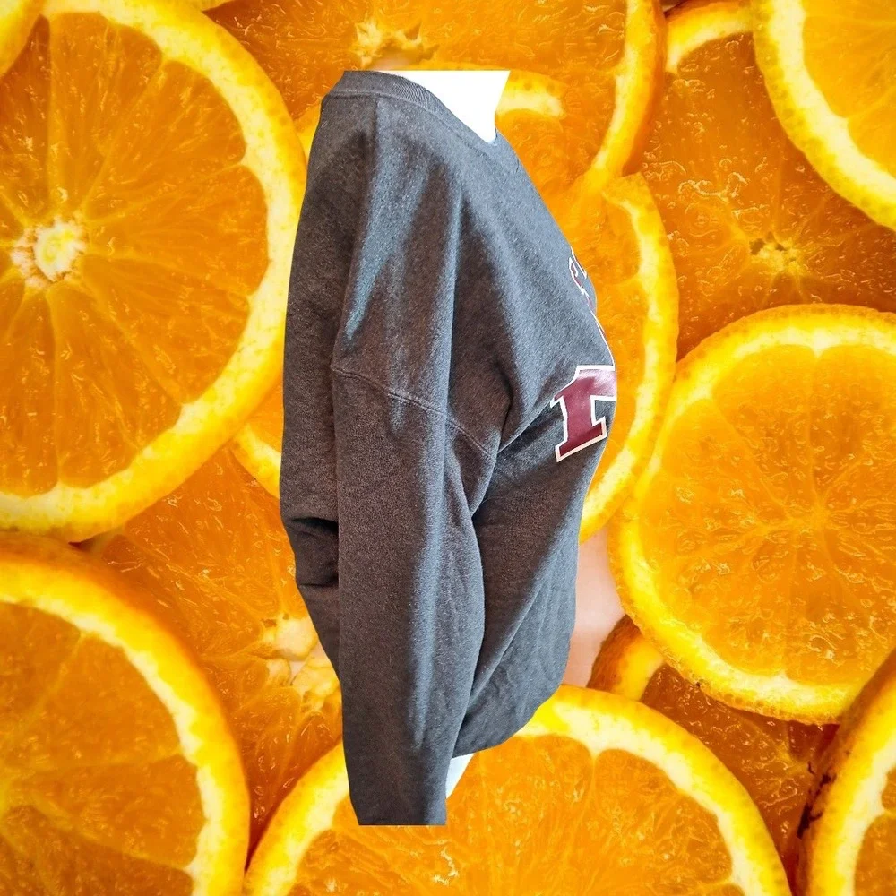 Champion MIT Massachusetts Institute of Technology Sweatshirt Large‎